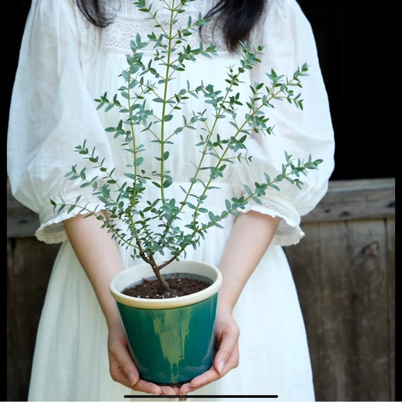 Chanel healthy glow multi colour collection set - Picture 13 of 16